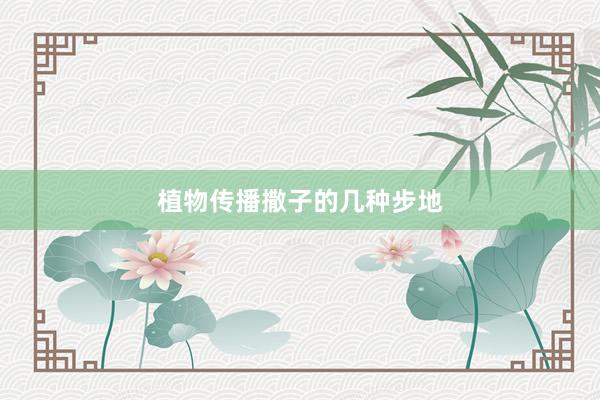 植物传播撒子的几种步地