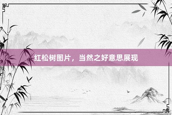 红松树图片，当然之好意思展现