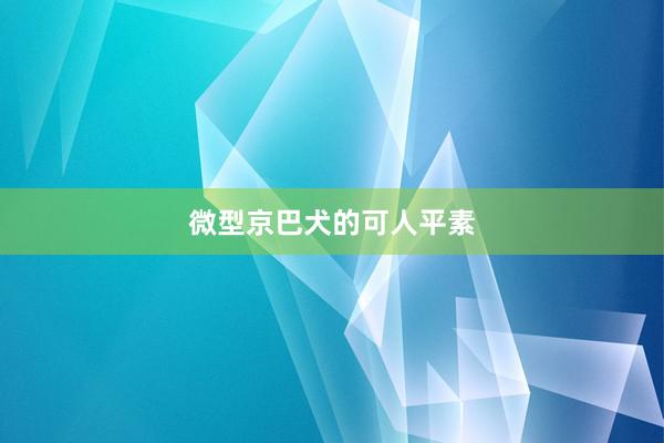 微型京巴犬的可人平素