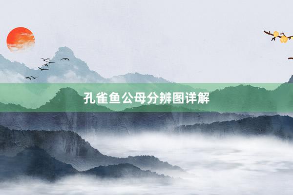 孔雀鱼公母分辨图详解