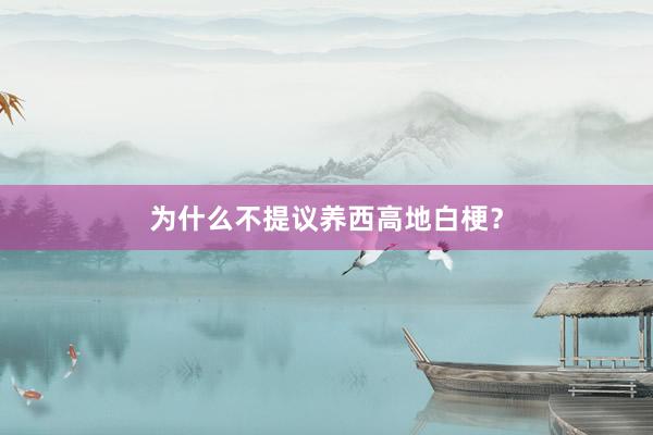 为什么不提议养西高地白梗？
