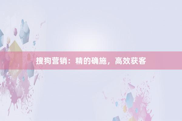 搜狗营销：精的确施，高效获客